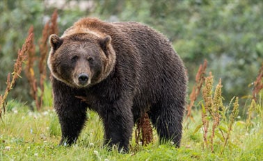 遠離塵囂冒險之旅-行程OB7 8天