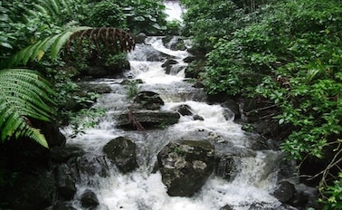 東加勒比海與波多黎各 9天