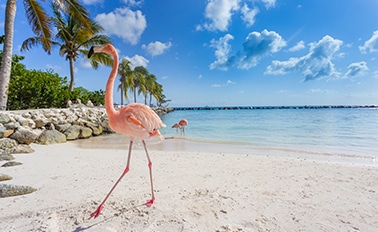 南方/東加勒比海冒險家之旅與歡慶之旅Key 15天