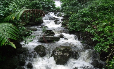 東加勒比海與聖湯瑪斯 8天