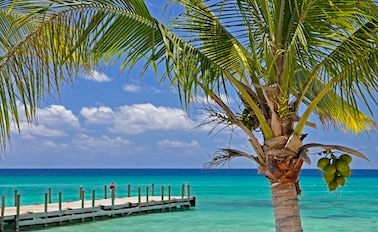 東加勒比海與特克斯與凱科斯群島歡慶之旅Key 7天