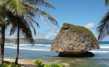 南方加勒比海與巴貝多和托特拉渡假之旅 8天