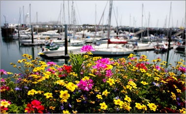 愛爾蘭&英格蘭 8天