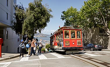 太平洋葡萄酒國家 7天