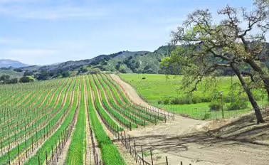 葡萄酒國家海岸 10天