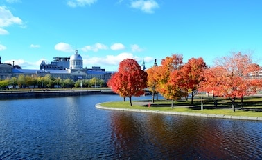 楓探險家之旅-行程2C 11天