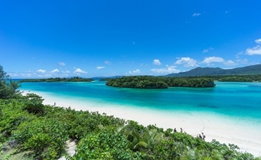 東南亞洲&日本與下龍灣 15天