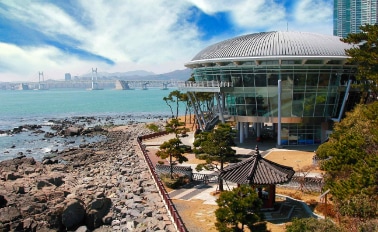 日本探險家之旅櫻花 11天