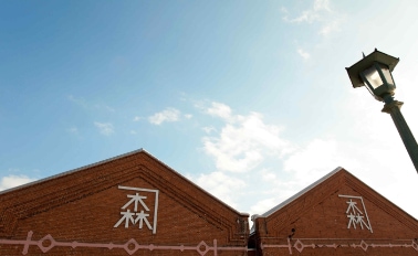 環遊日本櫻花 12天