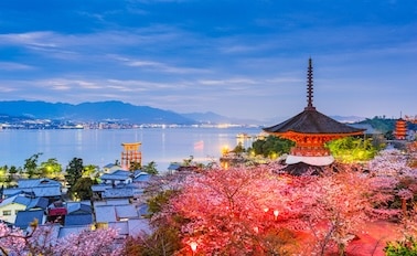 日本探險家之旅與熊野煙花 14天