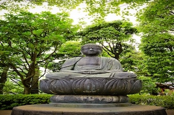 全覽環遊日本與夏季節慶 22天