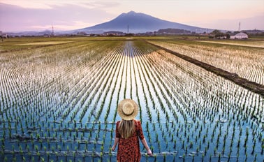 全覽環遊日本 18天
