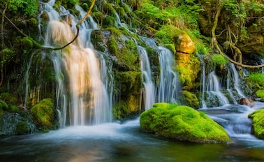 全覽環遊日本 19天