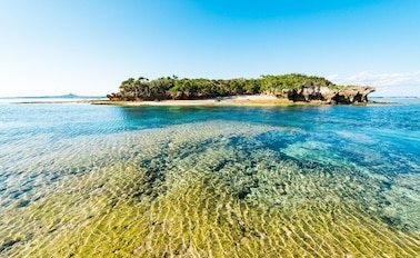全覽日本與沖繩&臺灣 20天