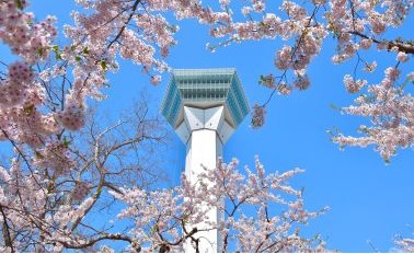 全覽環遊日本 20天