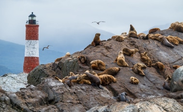 合恩角&巴塔哥尼亞的冰河 16天