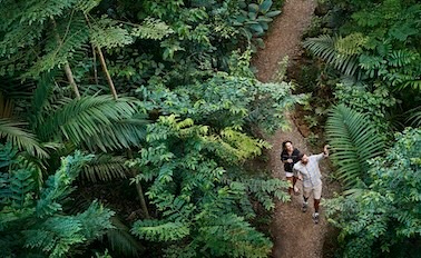 巴拿馬運河-跨洋之旅 18天