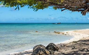 巴拿馬運河&太平洋沿岸 23天