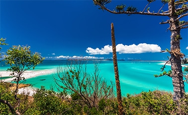 昆士蘭與大堡礁 8天