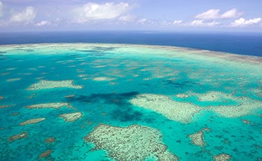 昆士蘭與大堡礁 11天