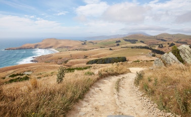 澳洲&紐西蘭 16天