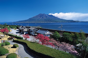 Princess Cruises - Excursion - 桜島火山と仙巌園（日本語ガイド